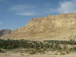 Пустыня Негев и финиковые плантации на берегу Мёртвого моря